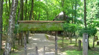 新緑に囲まれた無人駅