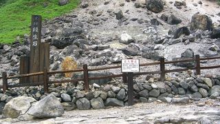 遊歩道がよいです