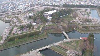 四季折々の五稜郭を見下ろします