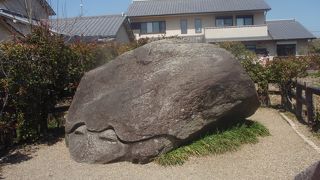 散策の途中に現れます