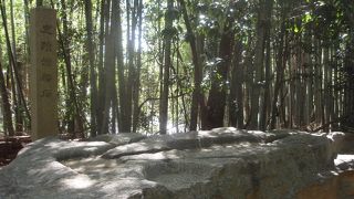 道をちょっとはずれたところ