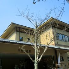 風景とマッチしています