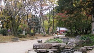 菊祭りは一見の価値あり