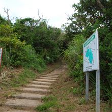 登山道は舗装されているので、軽装でも問題ないです
