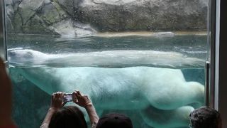 もぐもぐタイムの時間をチェックしておこう！