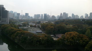 まだまだ桜ありました