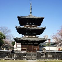 桜が満開でした。崖下からの塀越しの眺めもきれいです。