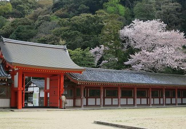 駅前の入口から鳥居をくぐったところ