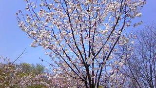 大阪城公園で、のんびりできました♪