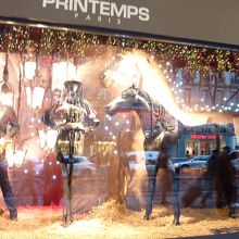 ショーウインドウも華やか