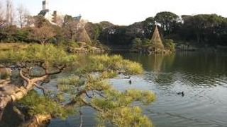 深川の立派な日本庭園
