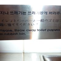 トイレットペーパーは流せません