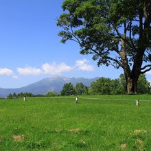 開田高原