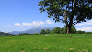 開田高原