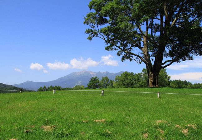 開田高原