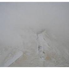 氷河を見ているのですが霧でこんな状態