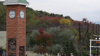 大人も子供も楽しめる！けど・・・