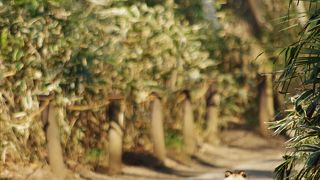 パワースポット求めて