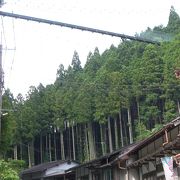 大原山への遊歩道