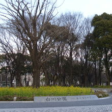 広大な公園です。