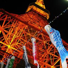 五月の節句が近かったせいか鯉のぼりも飾られていました