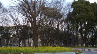 名古屋都心の大公園