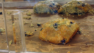 スコーンが美味しかったです