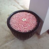 ホテルのエントランスに花びらで作られたこのような飾りが。