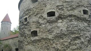 ふとっちょマルガリータのお出迎え