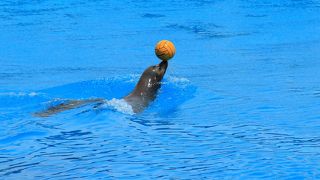 家族で楽しめます！！