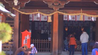 そのままを見れます！