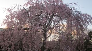 平安神宮のすぐそば