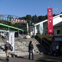 熊本のお土産勢ぞろい