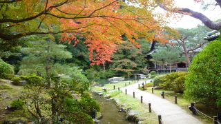 紅葉は期待しないで