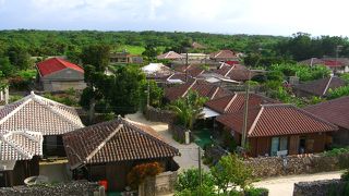 赤瓦の屋根と水牛車の島