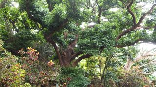 首里、金城の聖なる場所