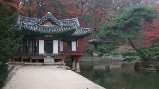 昌徳宮内の庭園の紅葉が美しかった