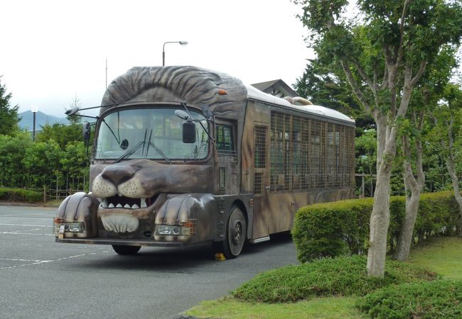 富士サファリパーク クチコミ アクセス 営業時間 裾野 長泉 フォートラベル