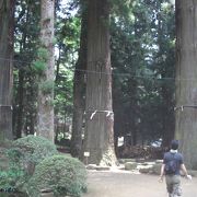 荘厳とした雰囲気の神社