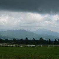 広い敷地で遊べます