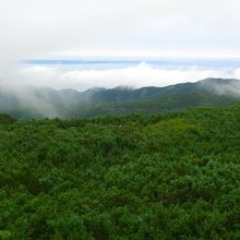 遠くに国後島を望む
