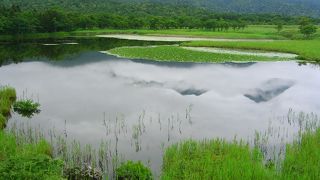 一湖までは高架木道で・・・