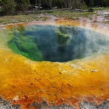 モーニング・グローリー・プール