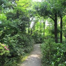 玄関から記念館までの道