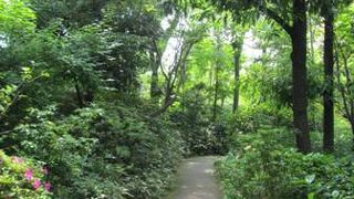 司馬さんの愛用品がいっぱいの記念館