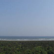 展望台からの眺め