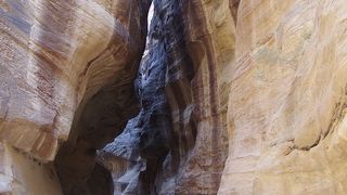 はるばる出かけてよかった！