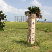 マンタの展望台が目立ちます。