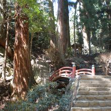奥の院に続く道