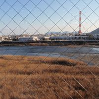 部屋から見た大瀬川